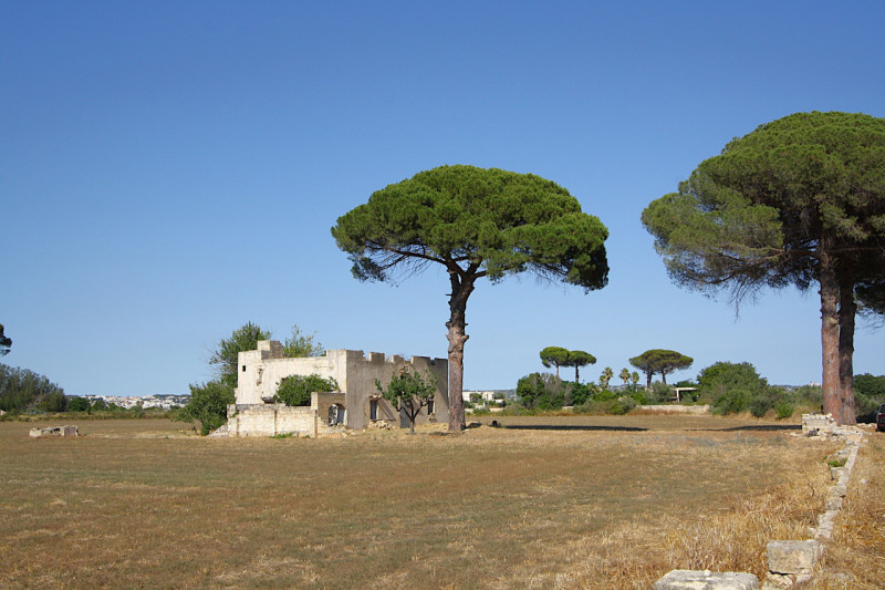 immagine annuncio 5 di 10