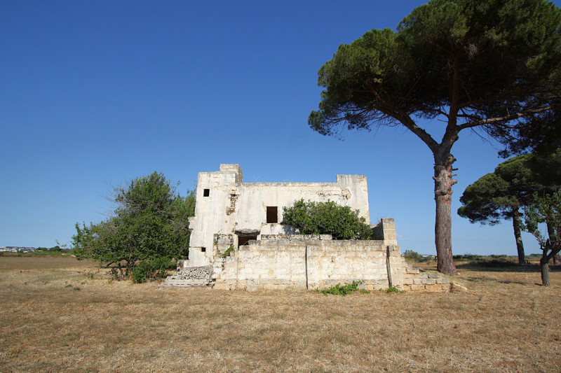 immagine annuncio 9 di 10