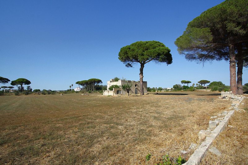 immagine annuncio 1 di 10