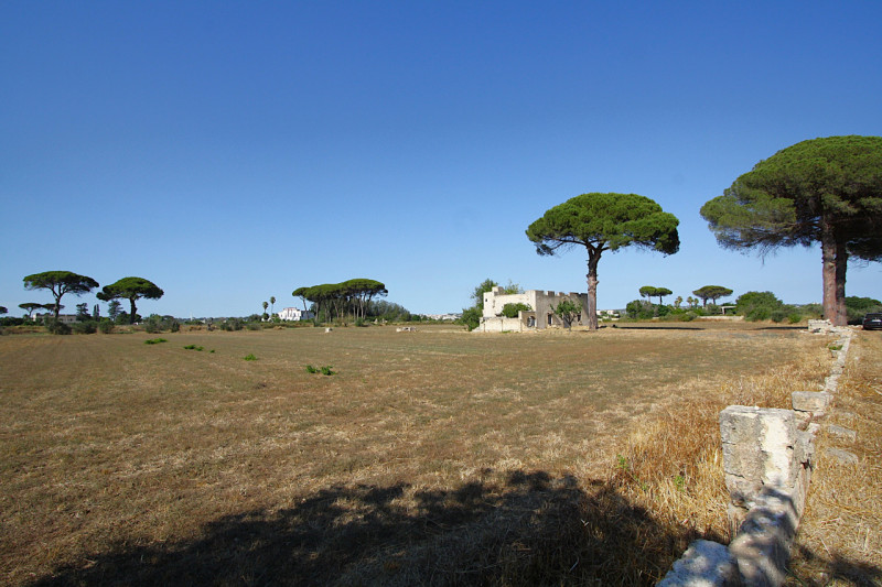 immagine annuncio 4 di 10