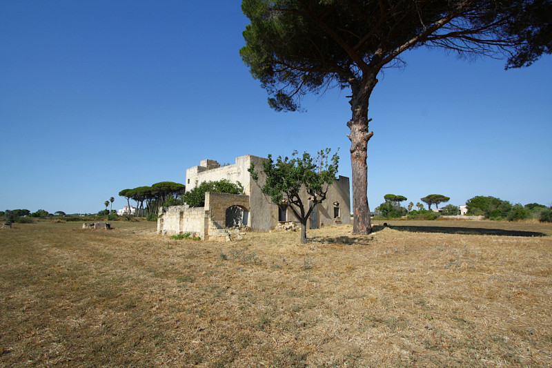 immagine annuncio 9 di 10