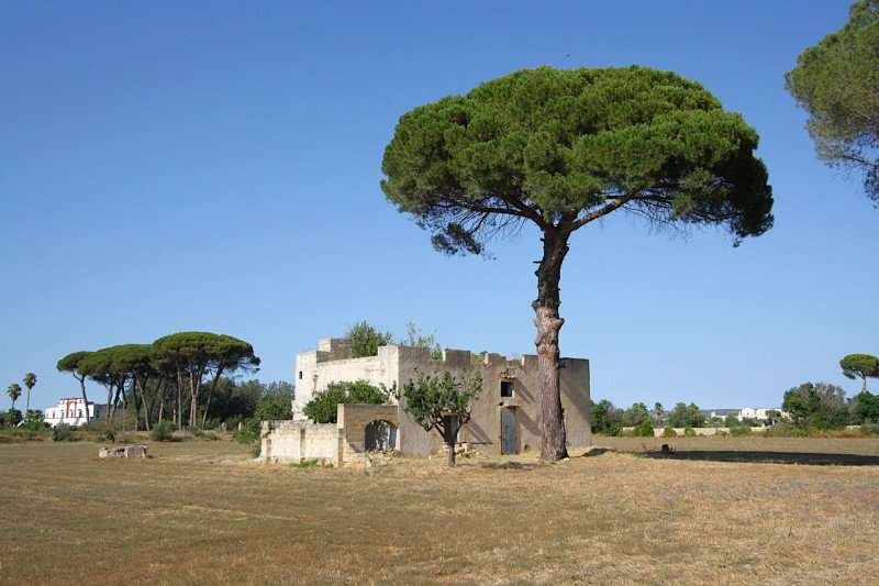 immagine annuncio 6 di 10