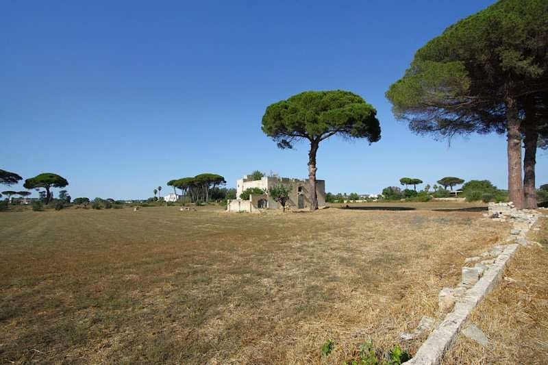 immagine annuncio 7 di 10