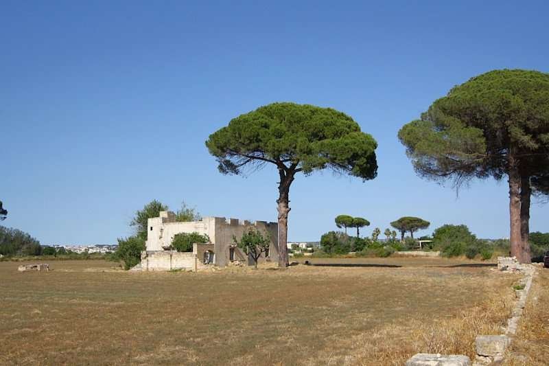 immagine annuncio 8 di 10