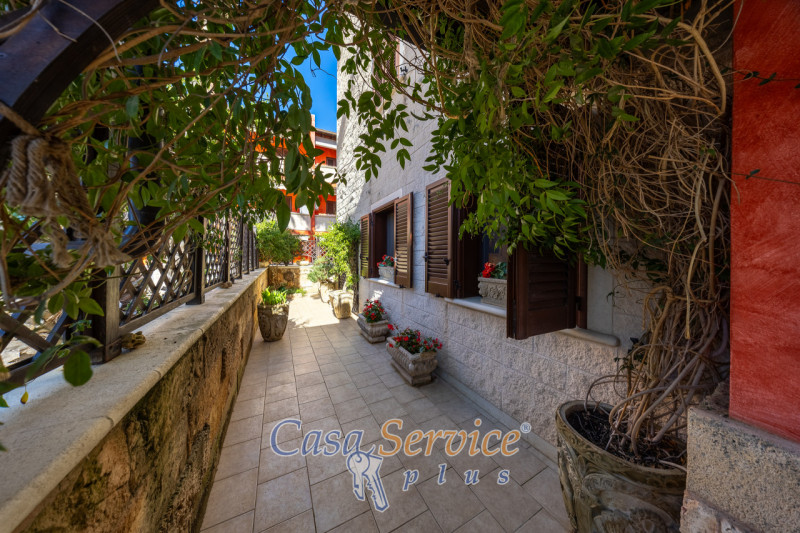 immagine annuncio 1 di 10