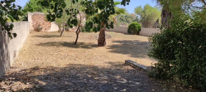 immagine annuncio 3 di 6