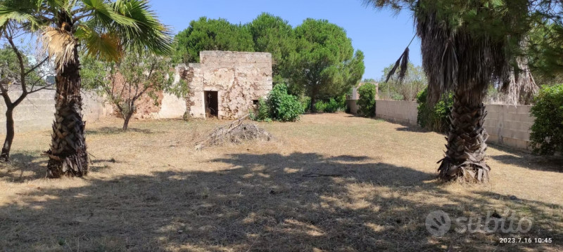 immagine annuncio 1 di 6