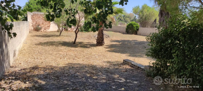 immagine annuncio 5 di 6