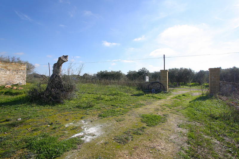 immagine annuncio 6 di 10