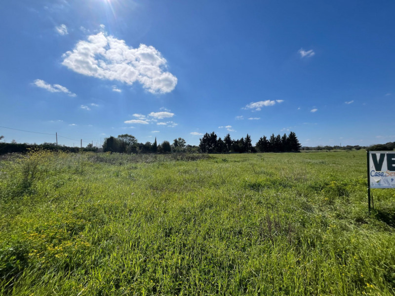 immagine annuncio 6 di 10