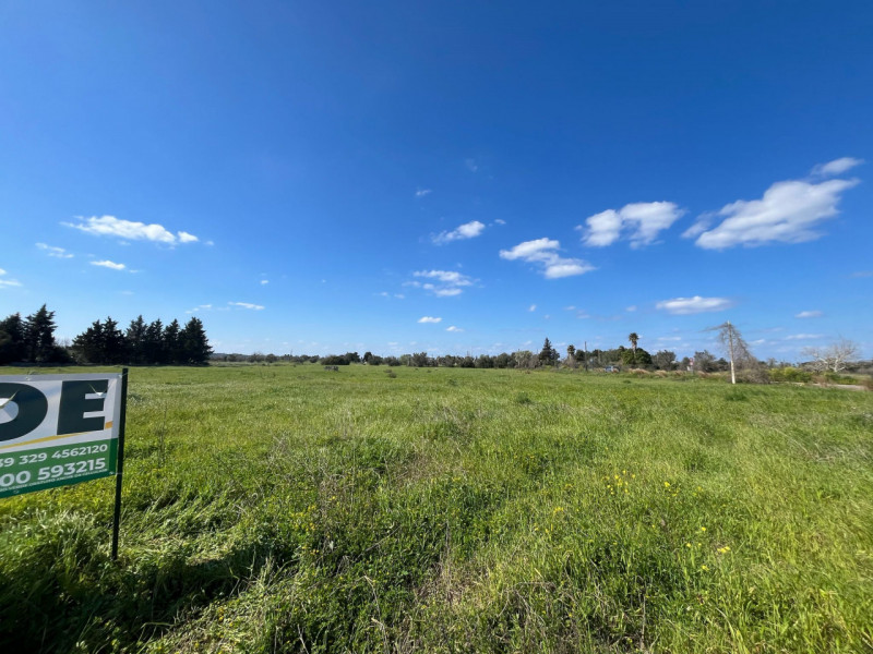 immagine annuncio 9 di 10