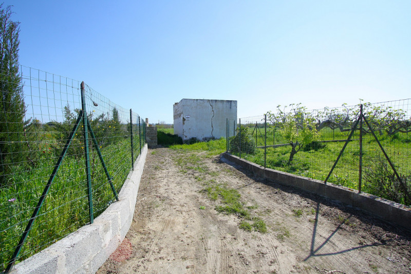 immagine annuncio 4 di 10