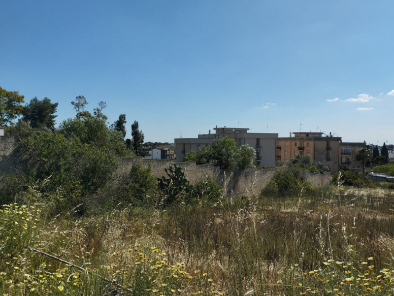 immagine annuncio 7 di 10