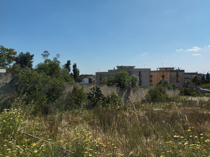 immagine annuncio 6 di 10