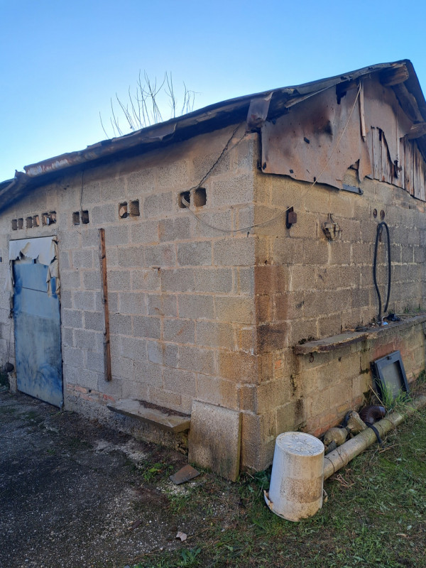 immagine annuncio 8 di 10