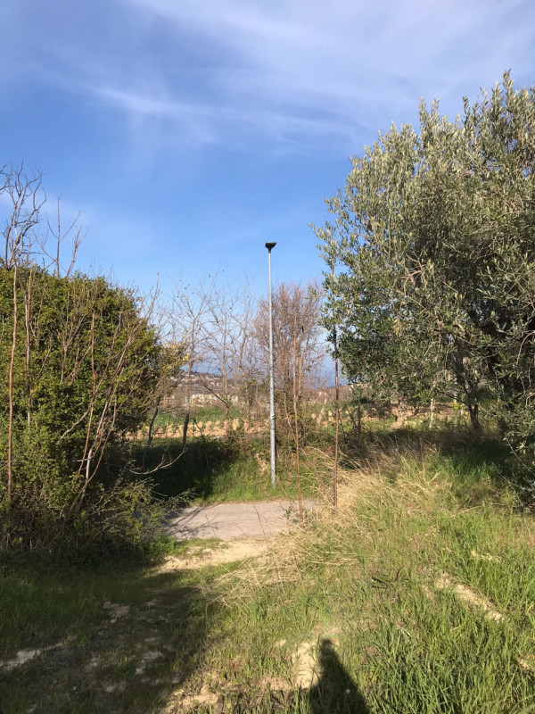 immagine annuncio 2 di 6