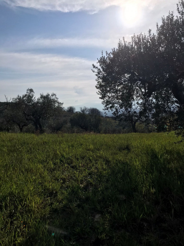 immagine annuncio 3 di 6
