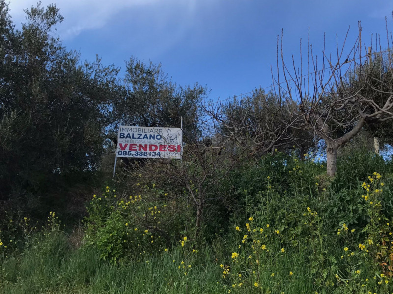 immagine annuncio 5 di 6
