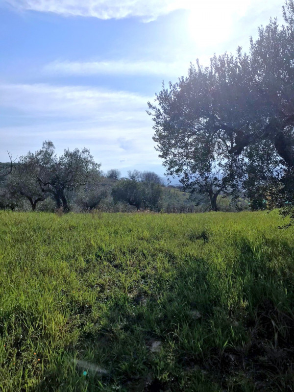 immagine annuncio 7 di 10