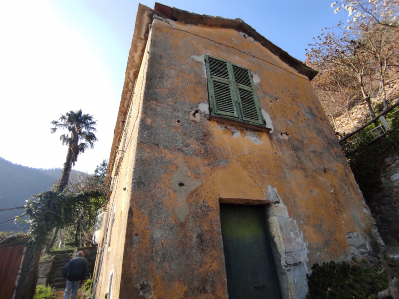 immagine annuncio 4 di 9
