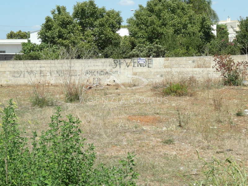 immagine annuncio 3 di 7