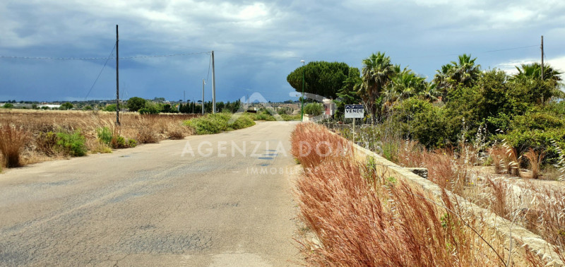 immagine annuncio 6 di 8