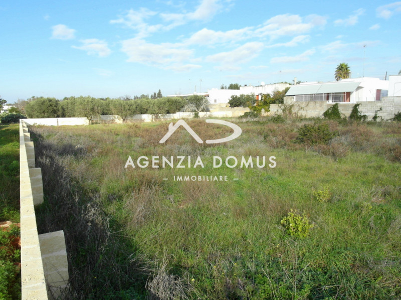 immagine annuncio 4 di 9