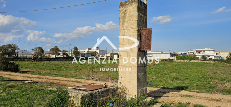 immagine annuncio 6 di 10