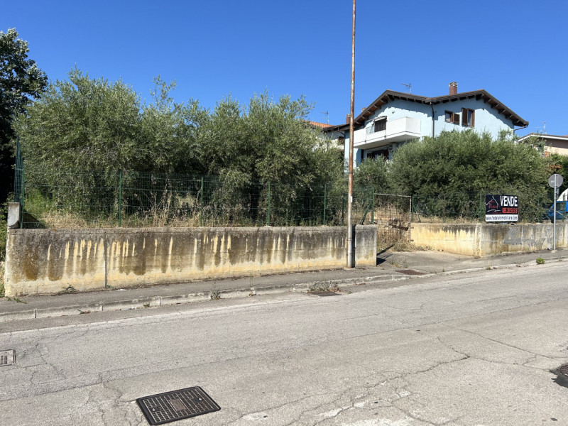 immagine annuncio 3 di 7