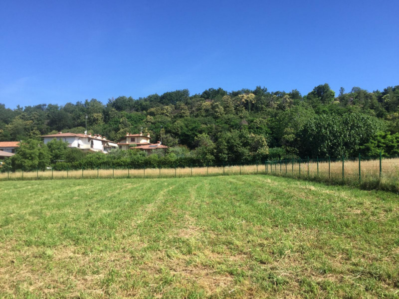 immagine annuncio 3 di 6