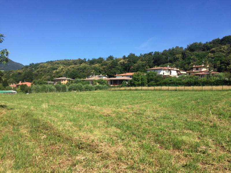 immagine annuncio 4 di 6