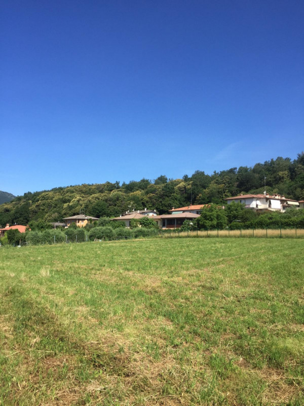 immagine annuncio 5 di 6