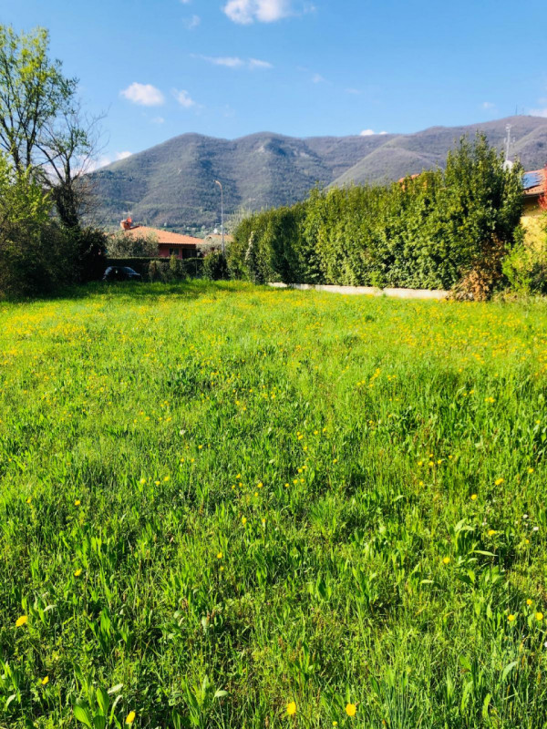 immagine annuncio 4 di 8