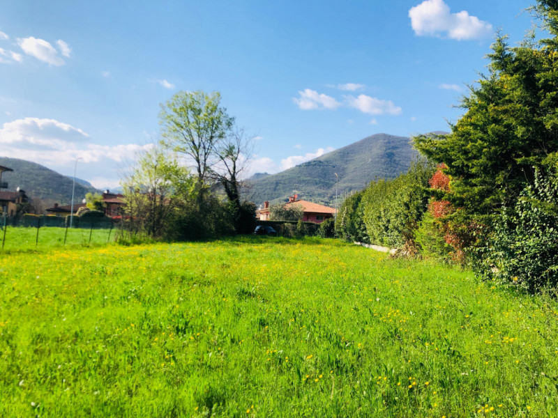 immagine annuncio 6 di 8