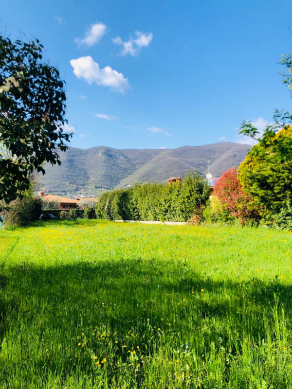 immagine annuncio 7 di 9
