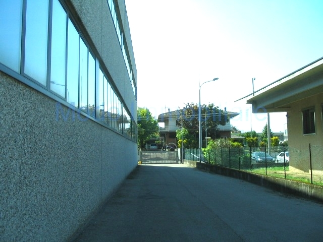 immagine annuncio 3 di 7