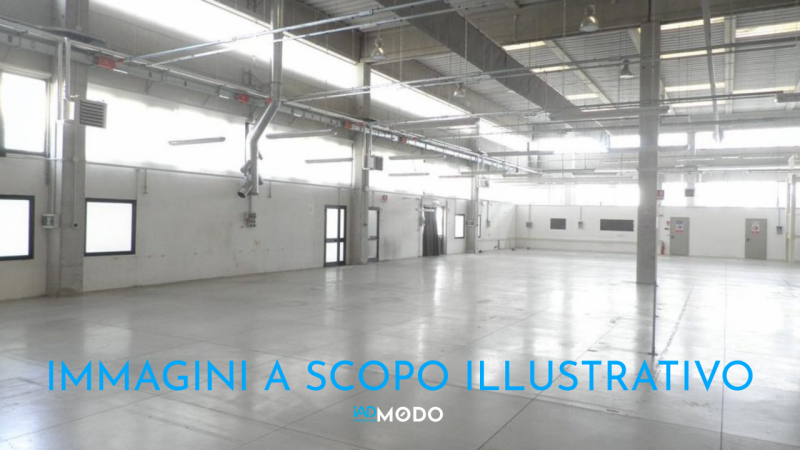 immagine annuncio 2 di 4