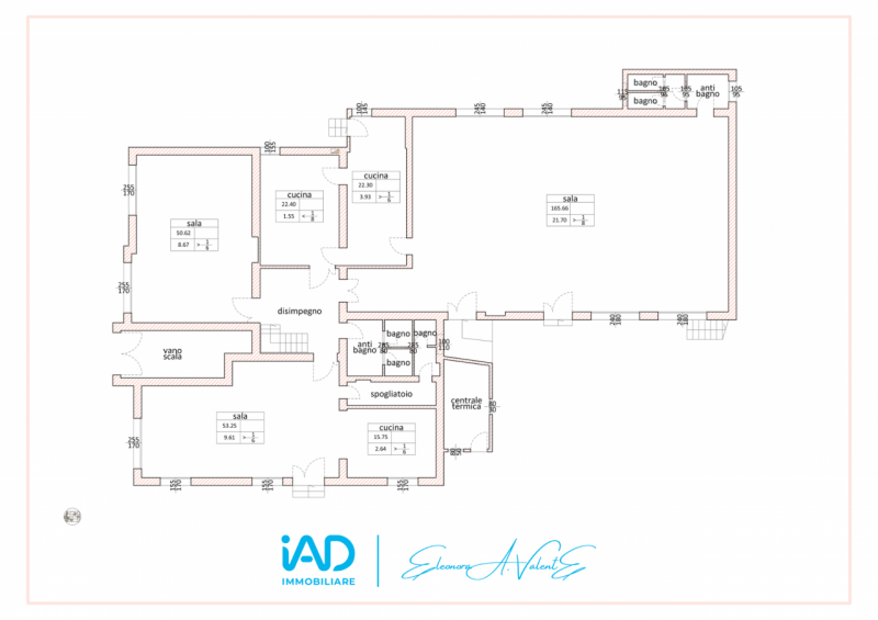 immagine annuncio 1 di 2