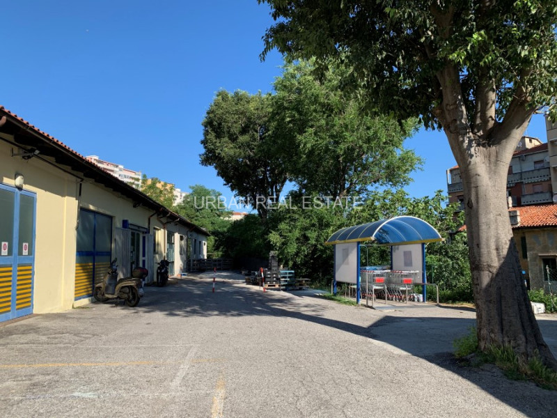 immagine annuncio 3 di 10