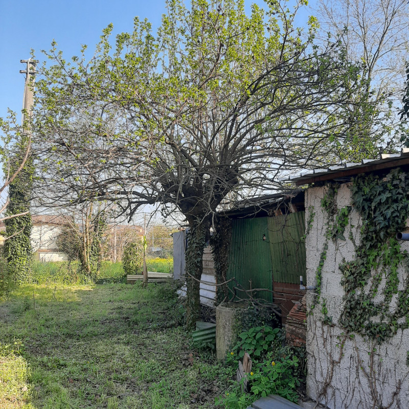 immagine annuncio 2 di 8