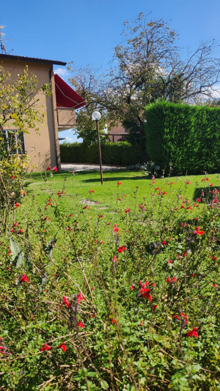 immagine annuncio 4 di 7