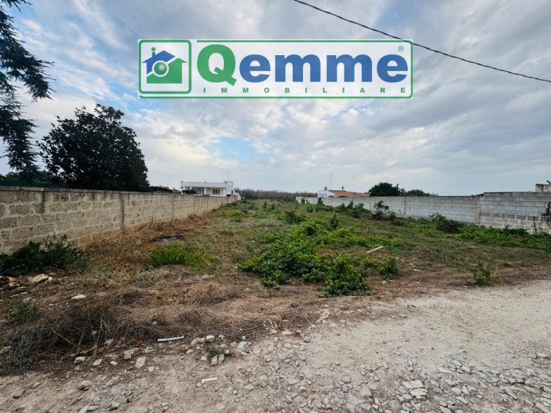 immagine annuncio 2 di 6