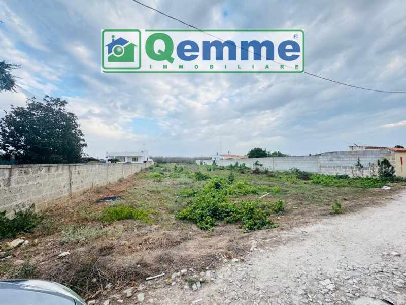 immagine annuncio 3 di 6