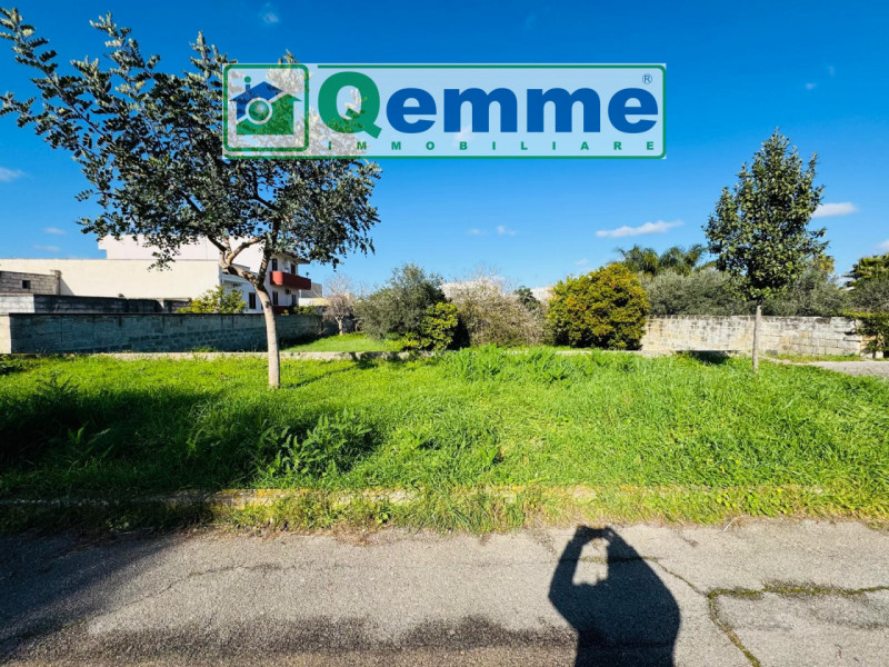 immagine annuncio 3 di 9