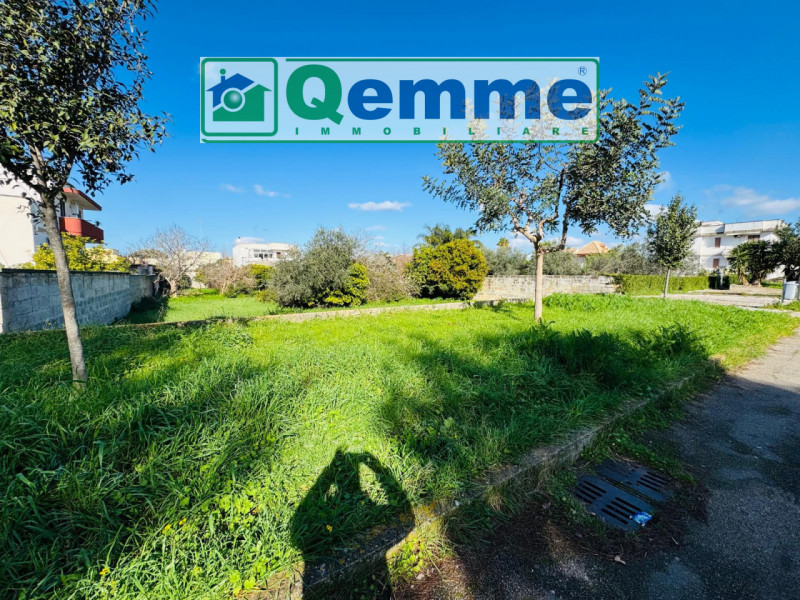 immagine annuncio 4 di 9