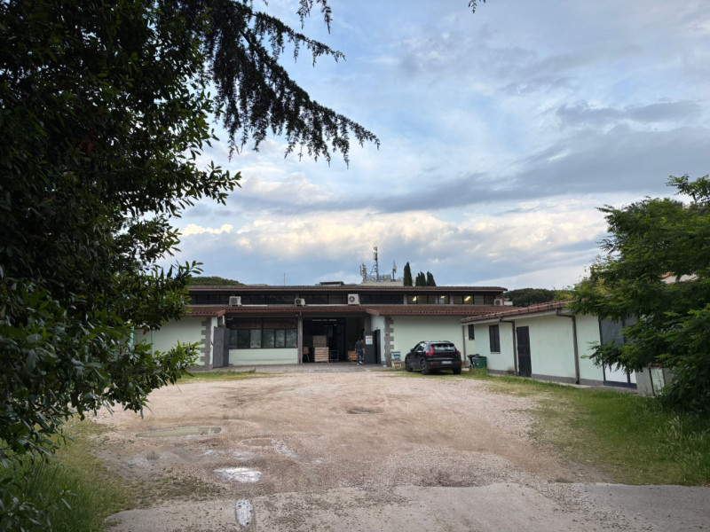 immagine annuncio 2 di 10