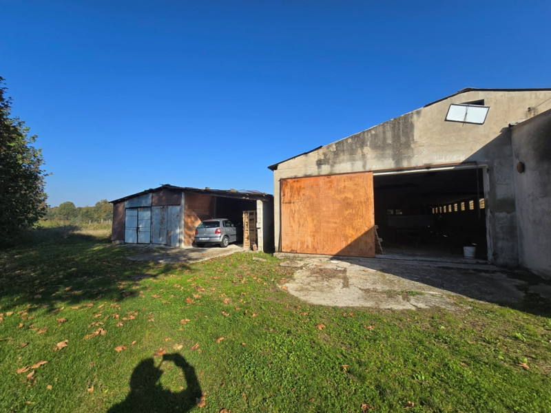 immagine annuncio 4 di 10