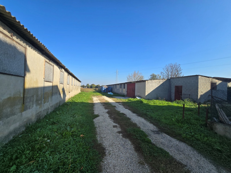 immagine annuncio 3 di 10