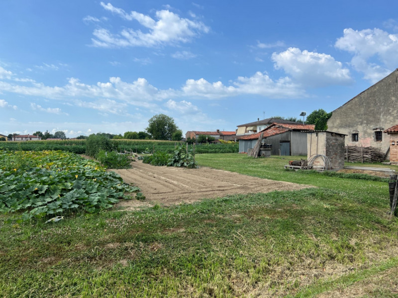 immagine annuncio 4 di 6