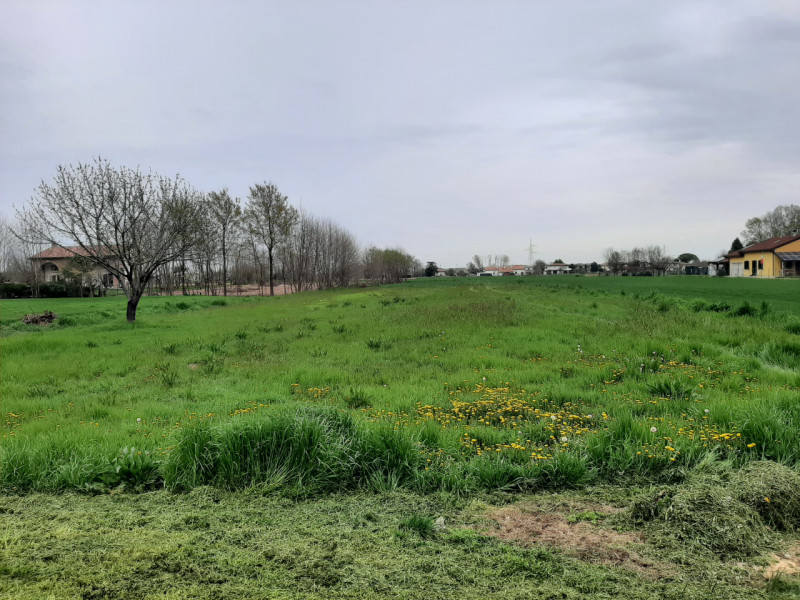 immagine annuncio 2 di 4